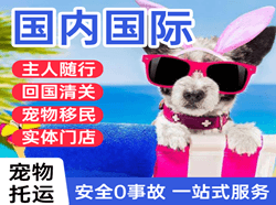 哈尔滨机场快递国际宠物托运 【国